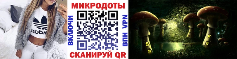 Купить закладки  Аркадак  Псилоцибиновые грибы мухоморы 